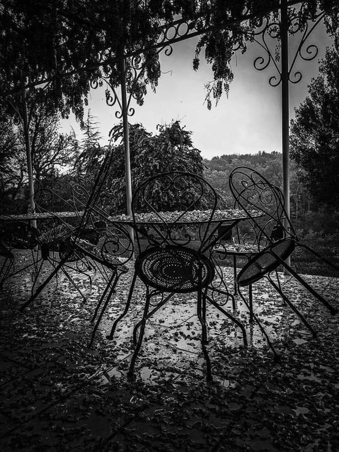 Pech-Luna B&B Chateau De Fajac La Selve מראה חיצוני תמונה